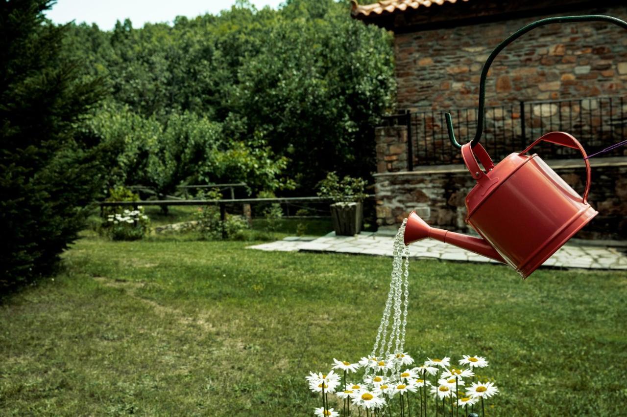 Guesthouse Rodamos Таксиархис Экстерьер фото