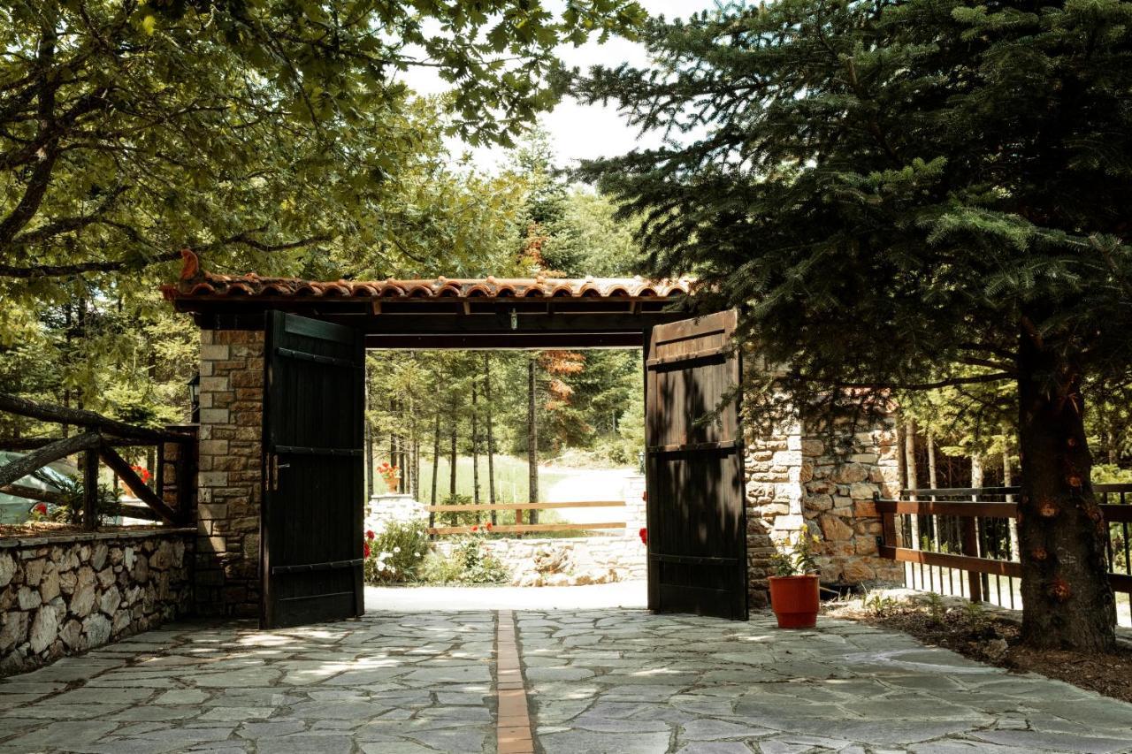 Guesthouse Rodamos Таксиархис Экстерьер фото