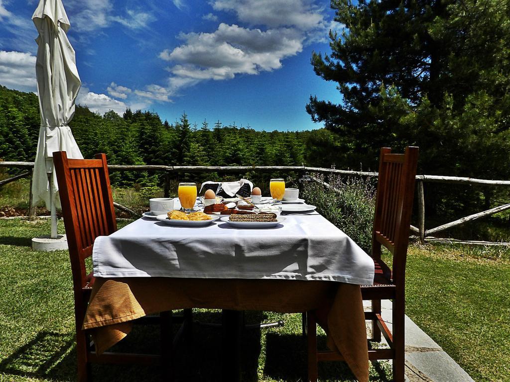 Guesthouse Rodamos Таксиархис Экстерьер фото